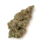 Dosido Delight by Leira – organic THCA flower with relaxing, smooth potency and earthy sweetness