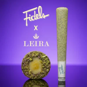 Fidel x Leira Hash Hole